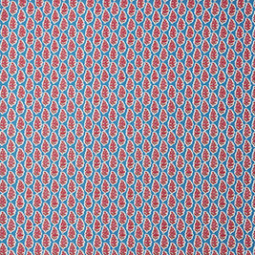 Red/Blue