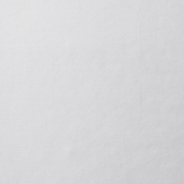Premium Smooth Supima® Cotton Wrinkle-Free Sateen Bed Sheet Set - Light Gray, Twin,Light Gray