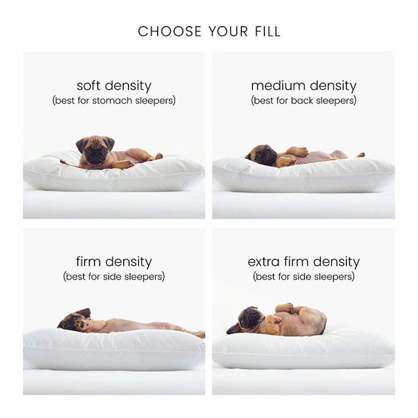 Best Down Pillow - Firm, Standard,White
